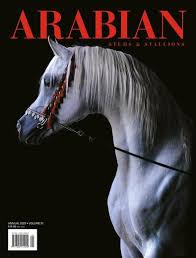 Arabian Horse Magazine