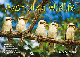 Bartel Calendars Australian Wildlife 2024 Calendar