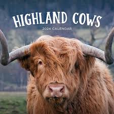Highland Cows 2024 Calendar