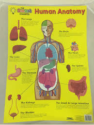 The Smart Charts Poster